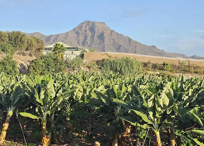 Enchanting Dream View A5, Finca Atalaya In Costa Adeje